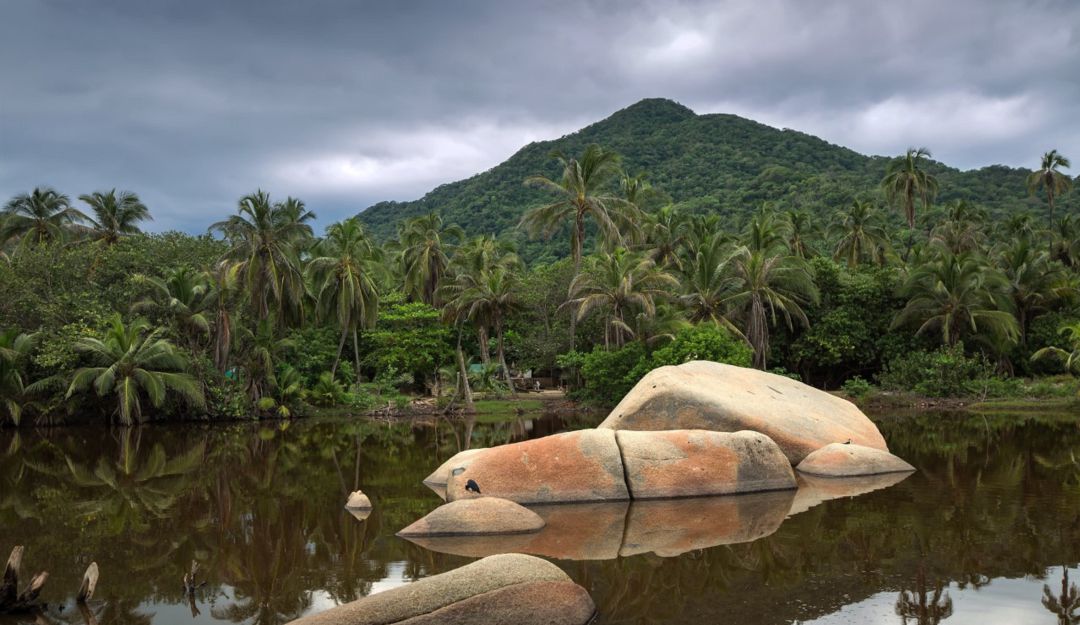 Nominaciones de reservas turísticas: Parque Natural Tayrona de nuevo es nominado a los World Travel Awards 2022 Nominaciones de reservas turísticas: Parque Natural Tayrona de nuevo es nominado a los World Travel Awards 2022