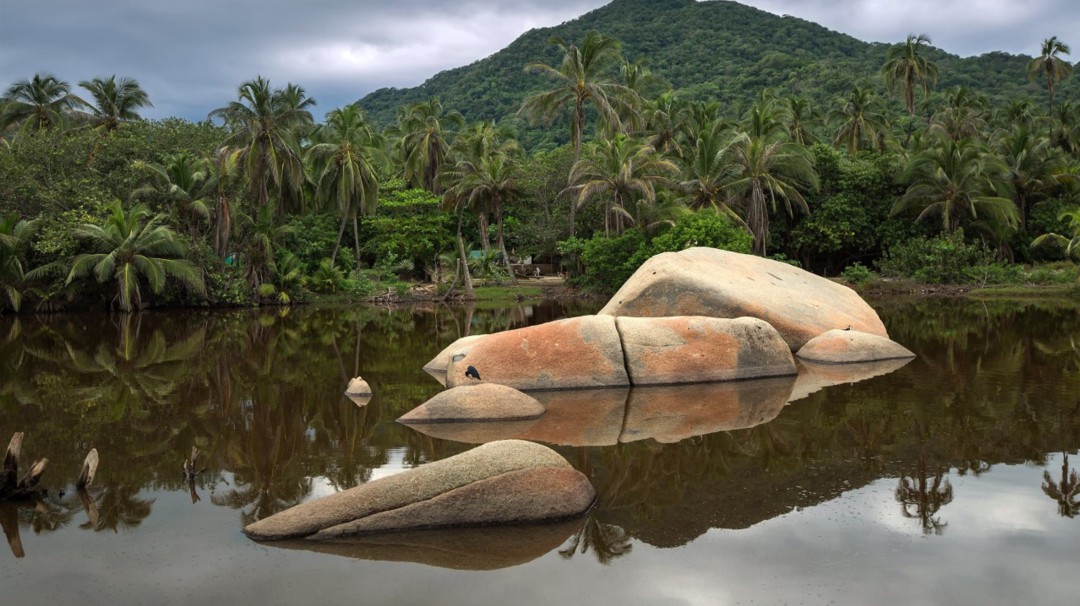 Parque Natural Tayrona de nuevo es nominado a los World Travel Awards 2022