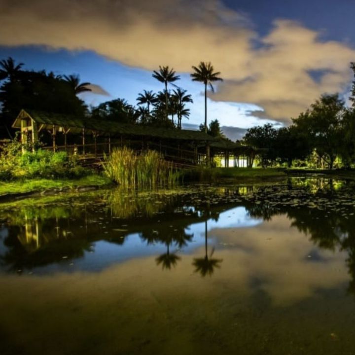 Programación Jardín de Noche para el viernes 27 de mayo en Bogotá