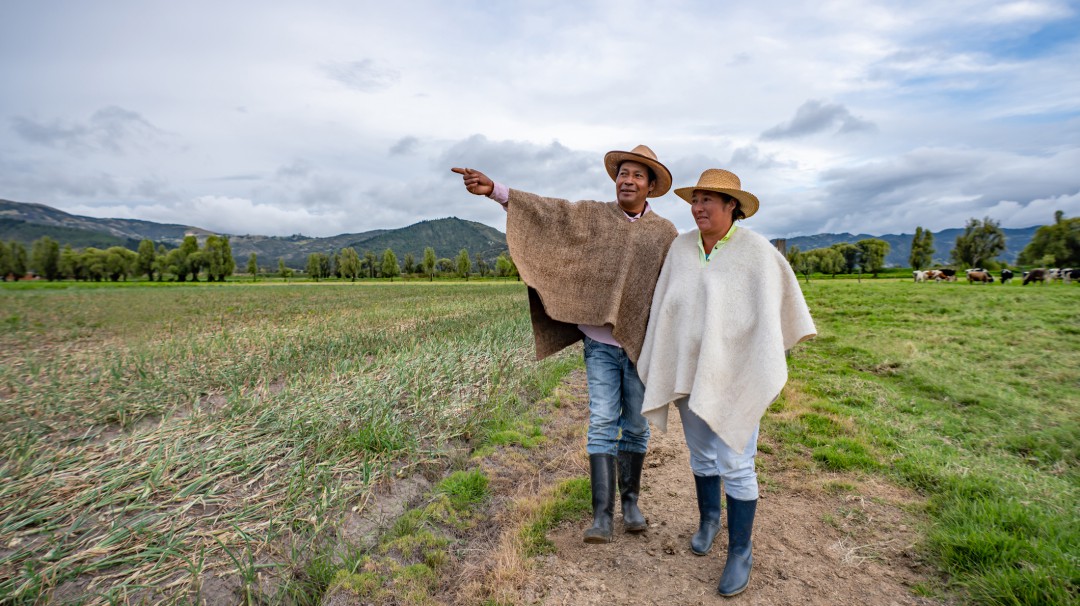 ¿Qué le pide el sector agrícola al próximo presidente de Colombia?