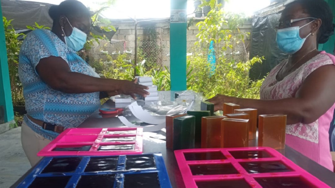 Con plantas silvestres, mujeres del Chocó desarrollan jabón medicinal