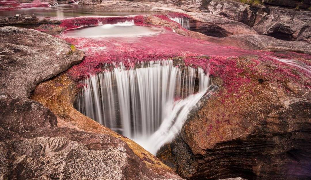 Este miércoles 8 de junio se dará apertura al público en Caño Cristales. Foto: Cormacarena. Este miércoles 8 de junio se dará apertura al público en Caño Cristales. Foto: Cormacarena.