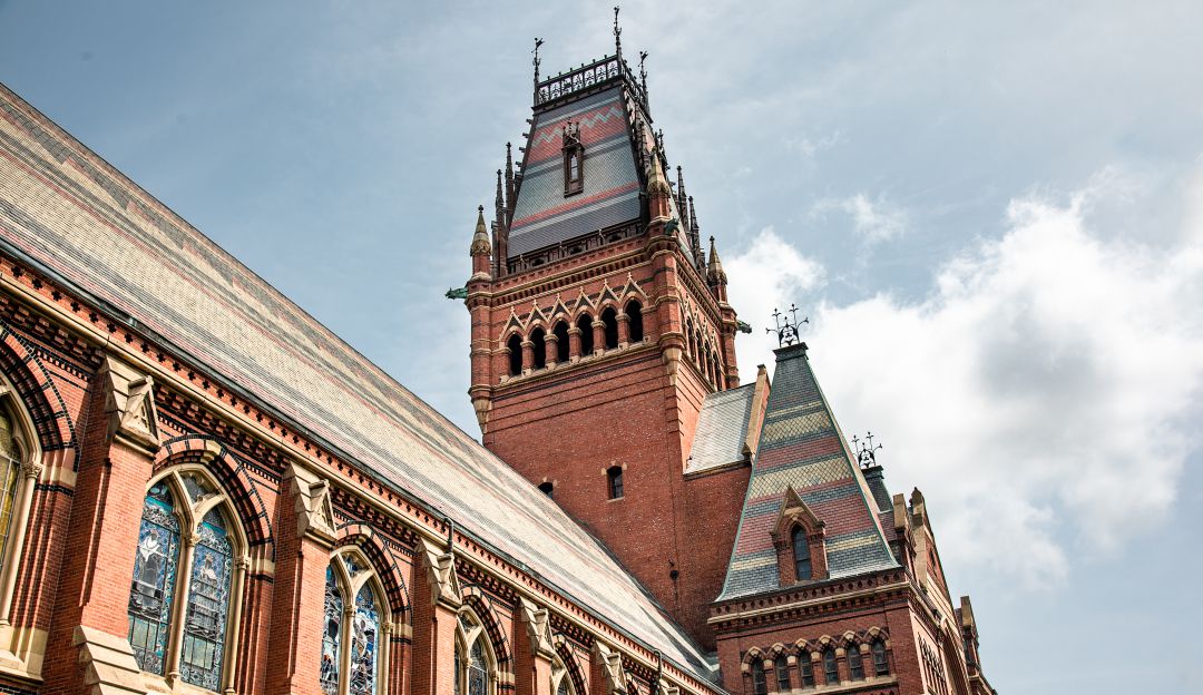 Harvard. Harvard.