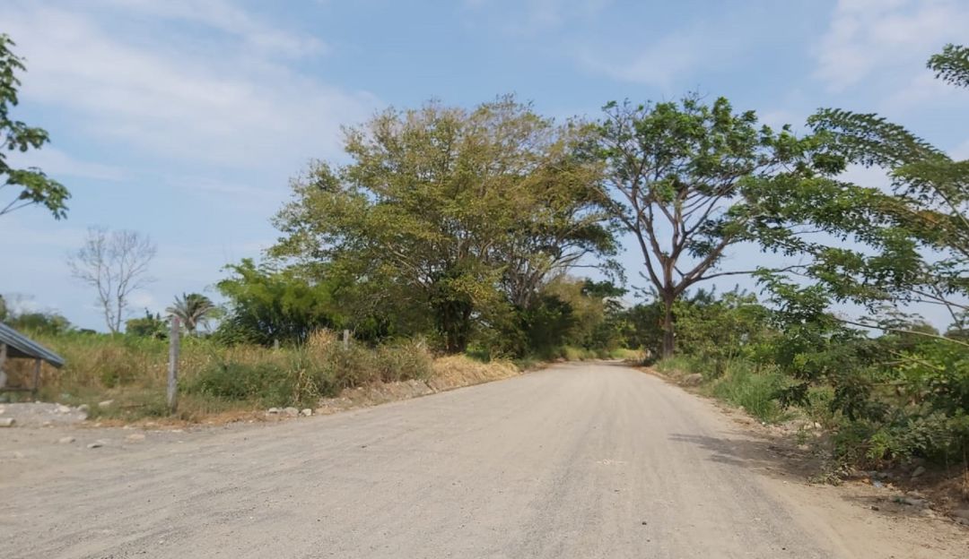 Zona rural de Tame, Arauca. Zona rural de Tame, Arauca.