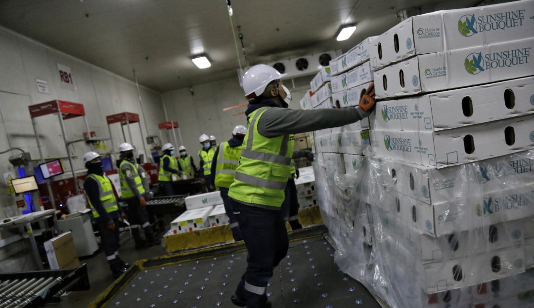 Crecimiento de la economía Crecimiento de la economía