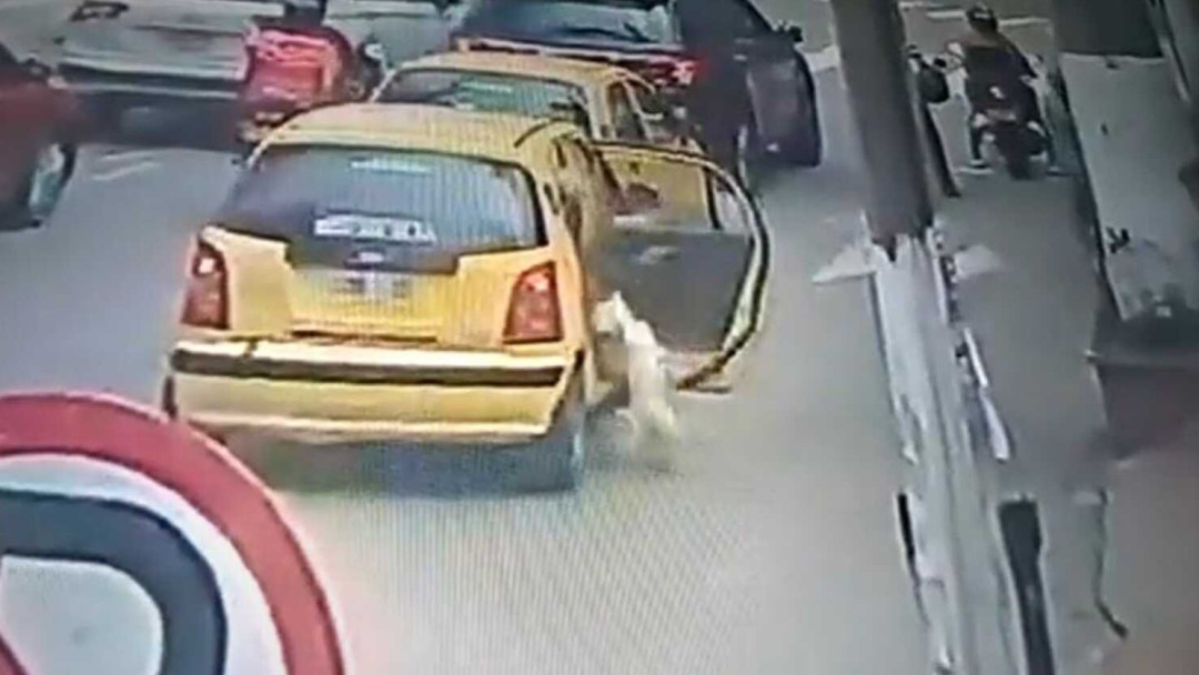 Video: Abandonan a un perro que iba en taxi en el centro de Fusagasugá