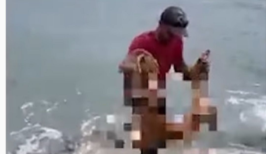 Video | San Andrés: polémica hombre lanza perro al mar para atraer tiburones Video | San Andrés: polémica hombre lanza perro al mar para atraer tiburones