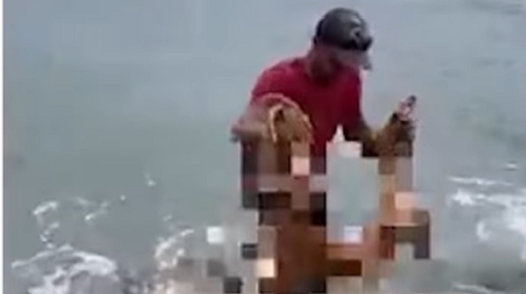 Video | San Andrés: polémica hombre lanza perro al mar para atraer tiburones