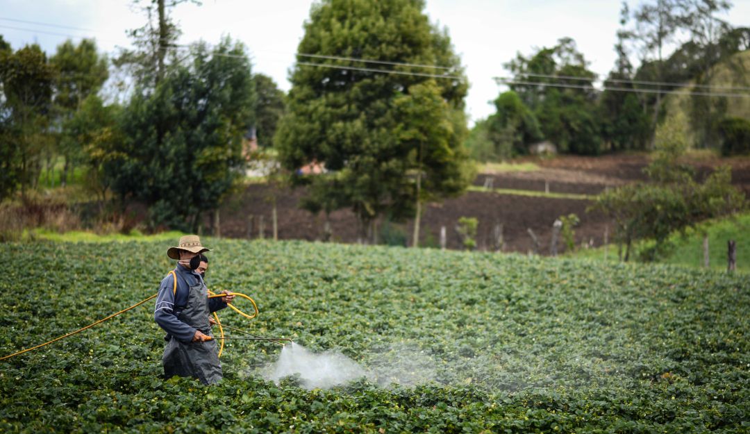 Reforma Agraria Reforma Agraria