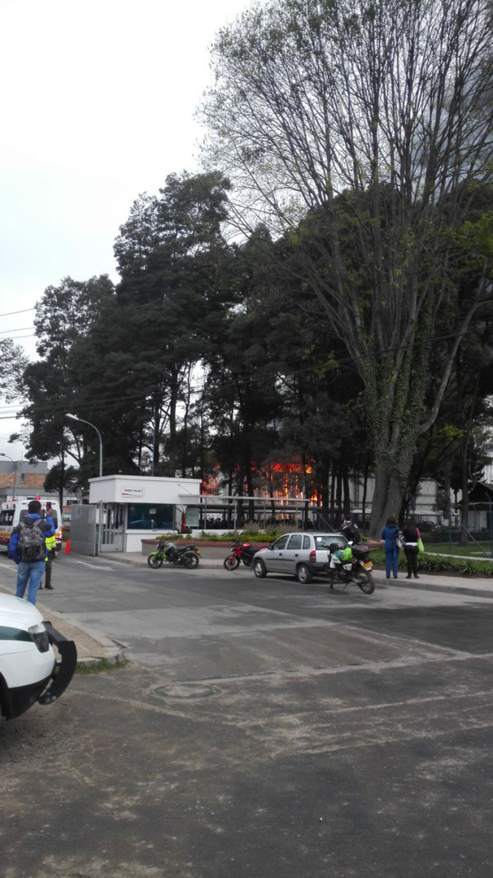 Las redes sociales se convirtieron en el escenario de fotografías y videos sobre el incendio Las redes sociales se convirtieron en el escenario de fotografías y videos sobre el incendio
