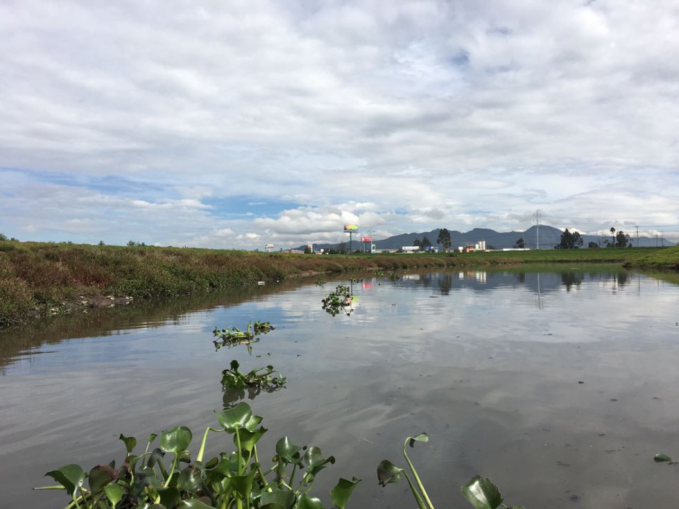 "El río ha cambiado enormemente, precisamente no es el caño que existió hace 12 años que yo hice la inspección" señaló Villamizar. "El río ha cambiado enormemente, precisamente no es el caño que existió hace 12 años que yo hice la inspección" señaló Villamizar.