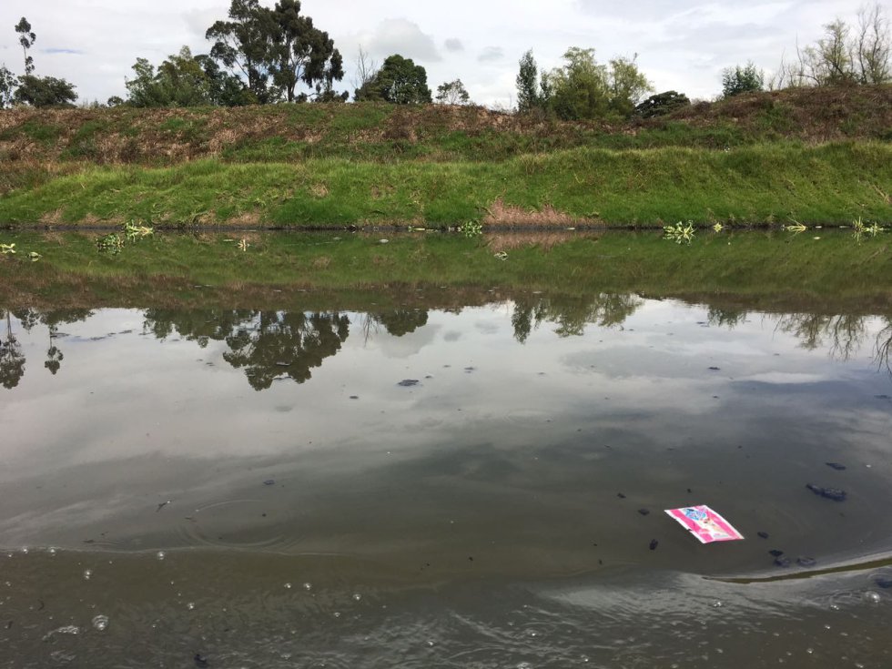 Sin embargo, a pesar de los grandes avances por parte de la CAR y de los municipios, ahora la principal amenaza del río son los particulares, en especial las fincas de ganados. Sin embargo, a pesar de los grandes avances por parte de la CAR y de los municipios, ahora la principal amenaza del río son los particulares, en especial las fincas de ganados.