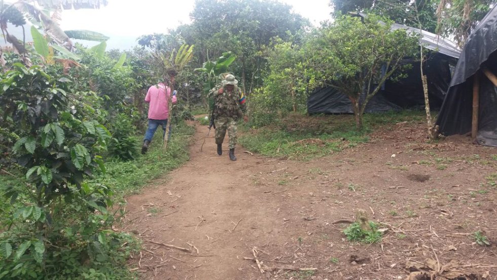 Los trabajos para los albergues de los guerrilleros se adelantan en un terreno de seis hectáreas. Los trabajos para los albergues de los guerrilleros se adelantan en un terreno de seis hectáreas.