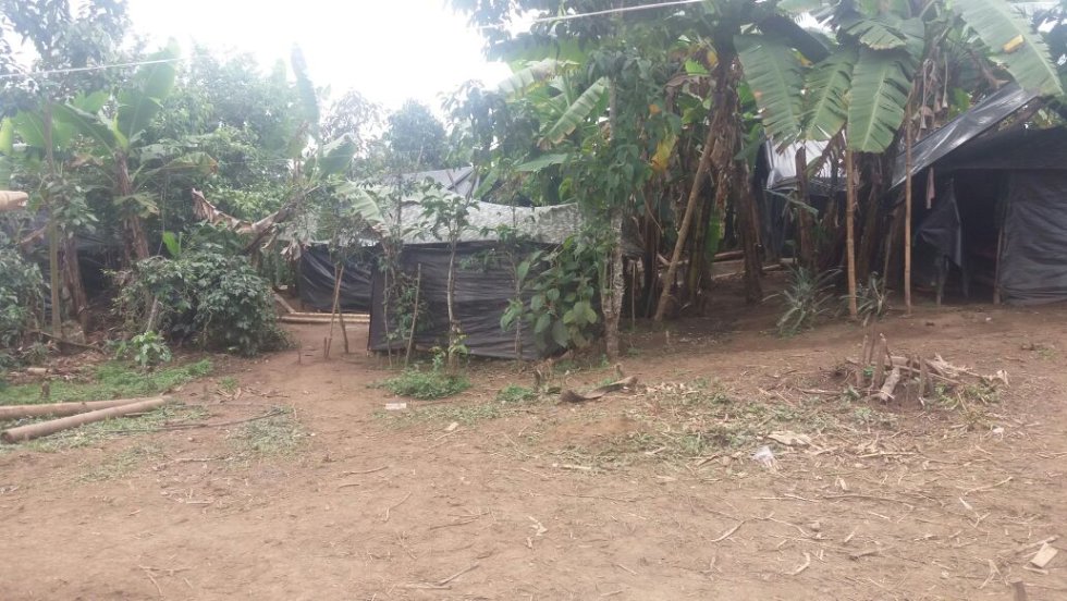 En Miranda (Cauca) se empiezan a ver los campamentos de transición de las Farc. En Miranda (Cauca) se empiezan a ver los campamentos de transición de las Farc.