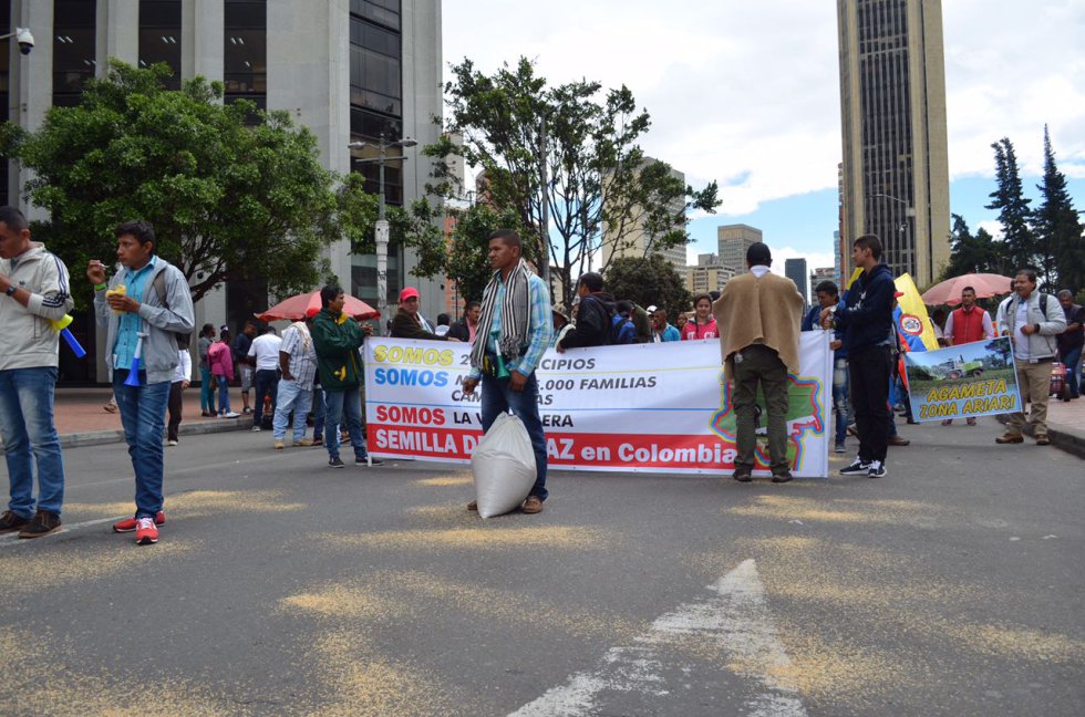 Arroceros de diferentes regiones del país viajaron a Bogotá para unirse a las marchas en la capital. Arroceros de diferentes regiones del país viajaron a Bogotá para unirse a las marchas en la capital.
