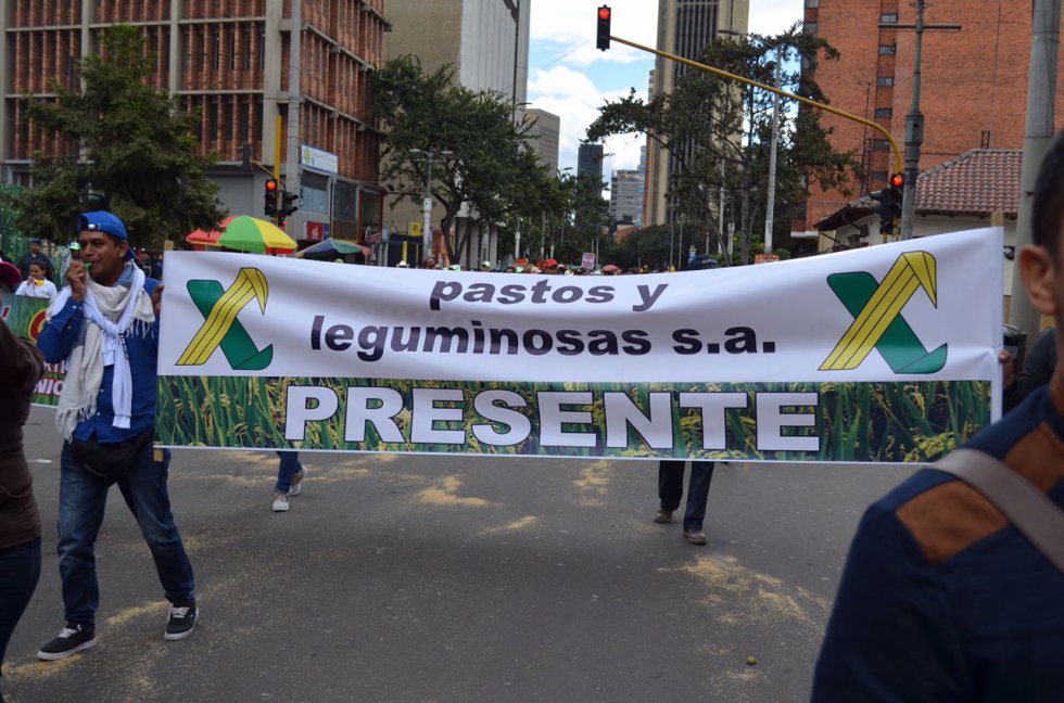 Arroceros de diferentes regiones del país viajaron a Bogotá para unirse a las marchas en la capital. Arroceros de diferentes regiones del país viajaron a Bogotá para unirse a las marchas en la capital.