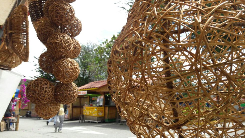 La tradicional del bejuco hizo parte fundamental de la fiestas de la colina iluminada del Quindío La tradicional del bejuco hizo parte fundamental de la fiestas de la colina iluminada del Quindío