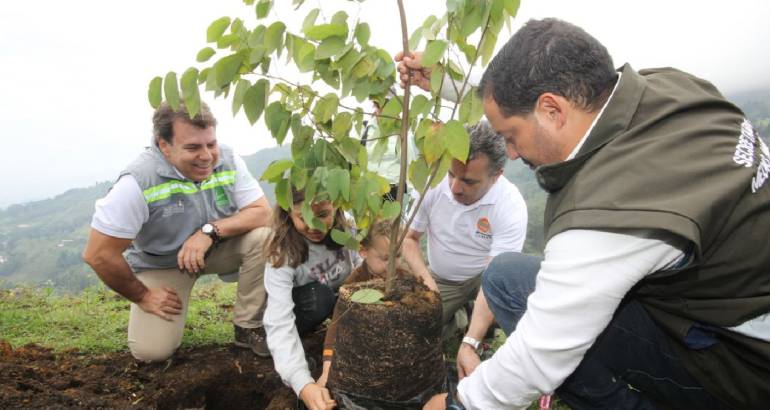 Siembran, árbol, 500, mil Valle, Aburrá: Siembran el árbol 500 mil en el  Valle de Aburrá | Medellín | Caracol Radio