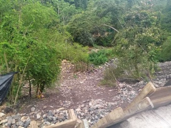 RUTA DEL CACAO AFECTACIONES QUEBRADAS NACIMIENTOS: VIDEO: Se secaron tres quebradas por obras de la Ruta del Cacao