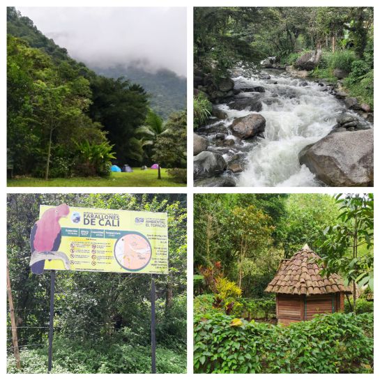 Turismo: El Valle del Cauca se reactiva al turismo