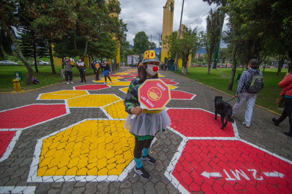 Descripción de la imagen