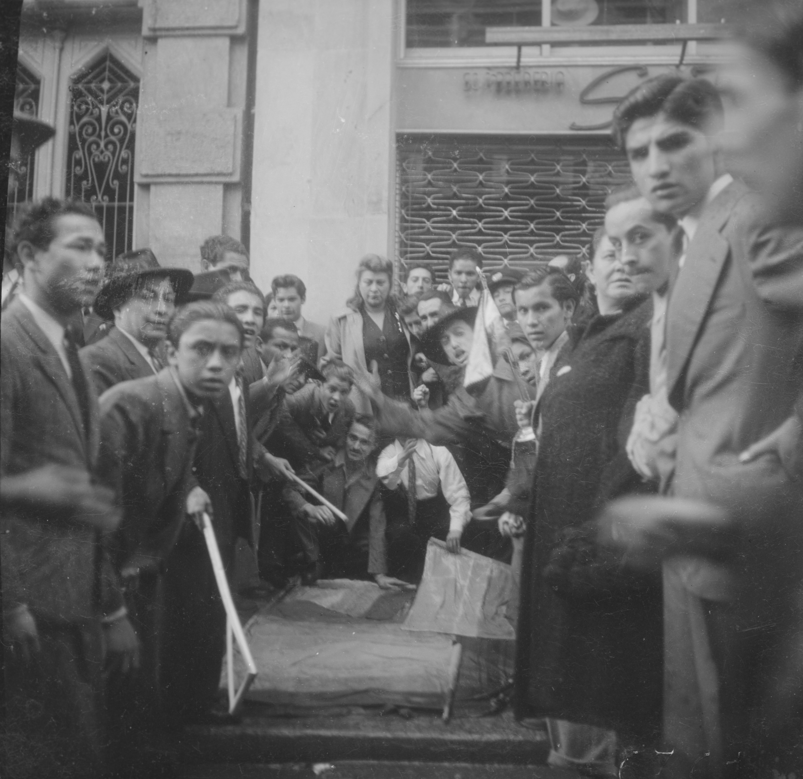 Descripción de la imagen