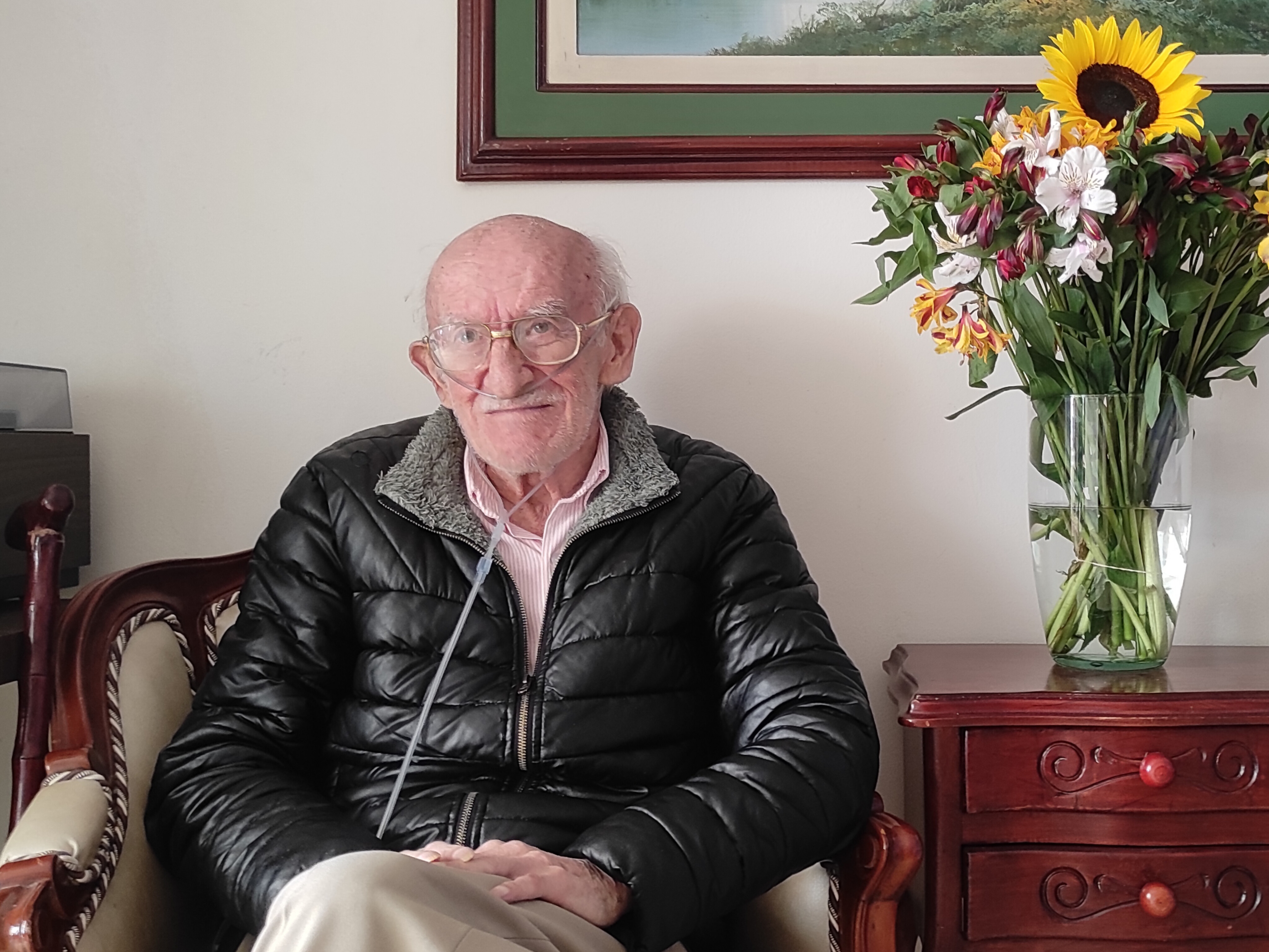 Descripción de la imagen