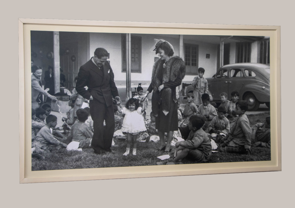 Descripción de la imagen