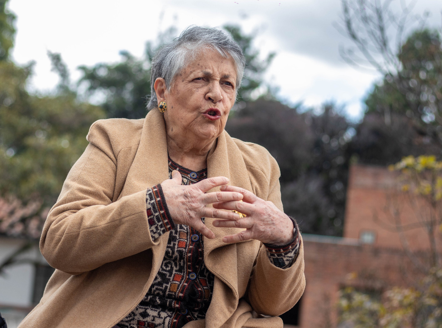 Descripción de la imagen