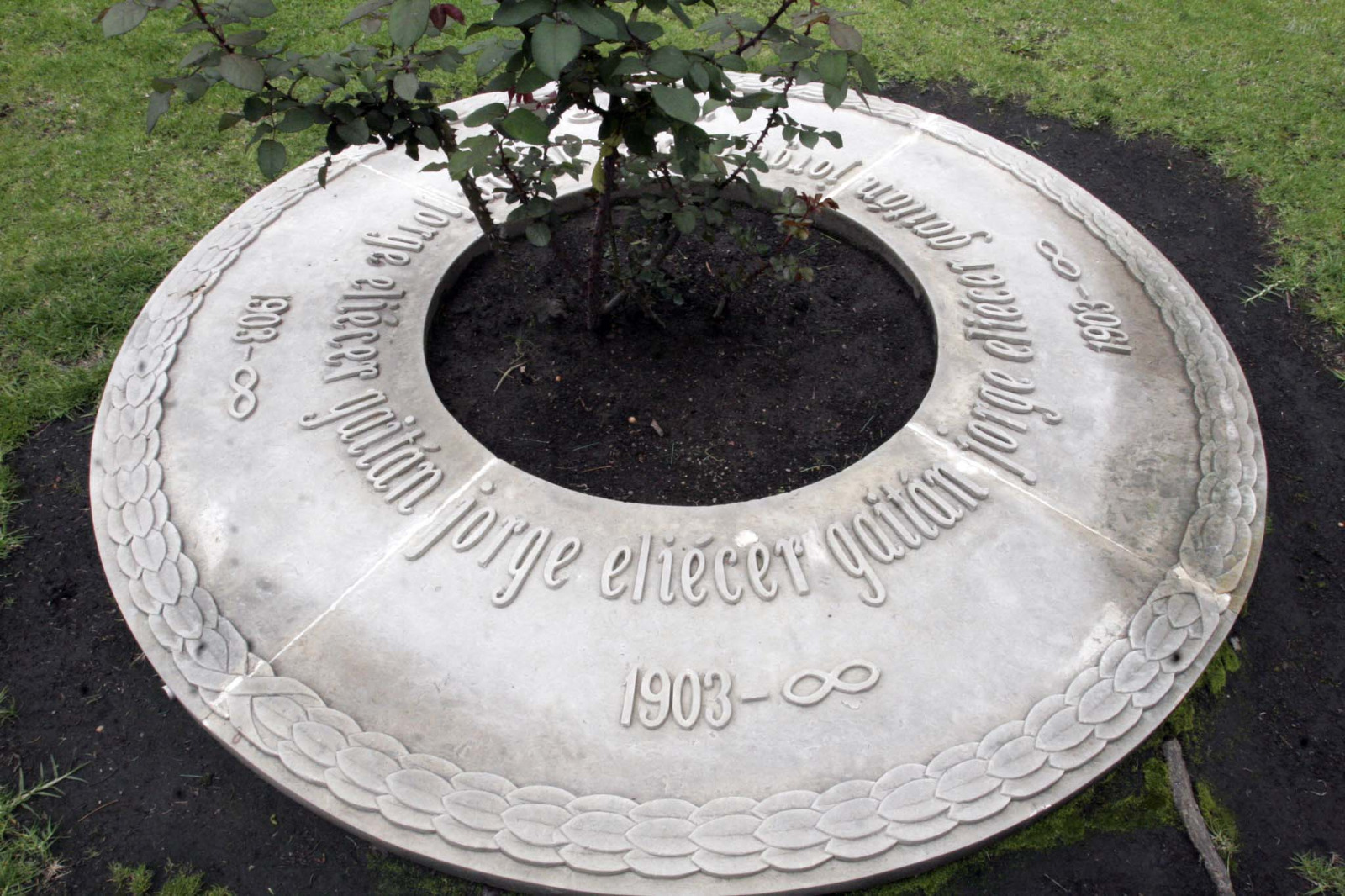 Descripción de la imagen