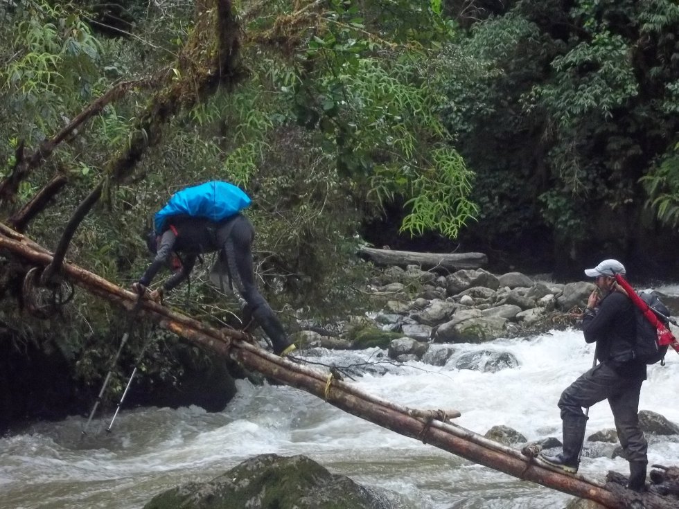 Integrantes del equipo de 7 Cumbres hablan sobre su travesía en la selva y cómo superaron los obstaculos de la naturaleza. Integrantes del equipo de 7 Cumbres hablan sobre su travesía en la selva y cómo superaron los obstaculos de la naturaleza.