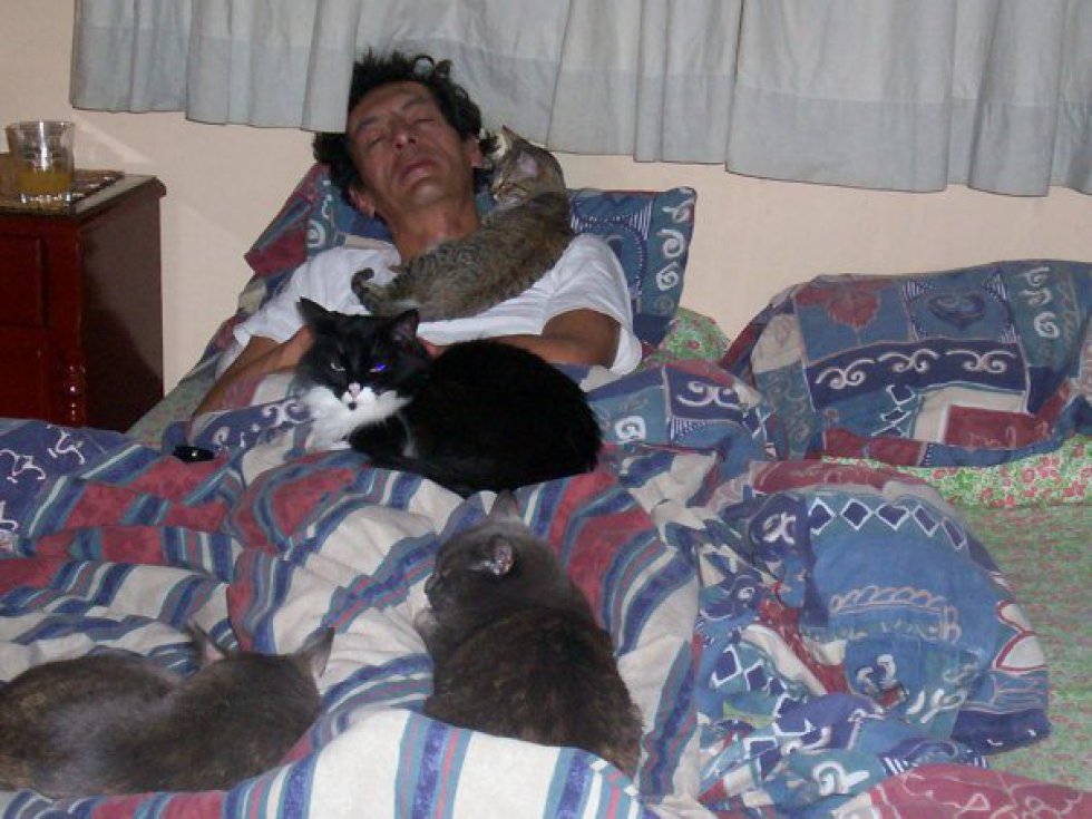 Marcela Medina nos envía la foto de su esposo durmiendo plácidamente con sus cuatro gatitos Marcela Medina nos envía la foto de su esposo durmiendo plácidamente con sus cuatro gatitos