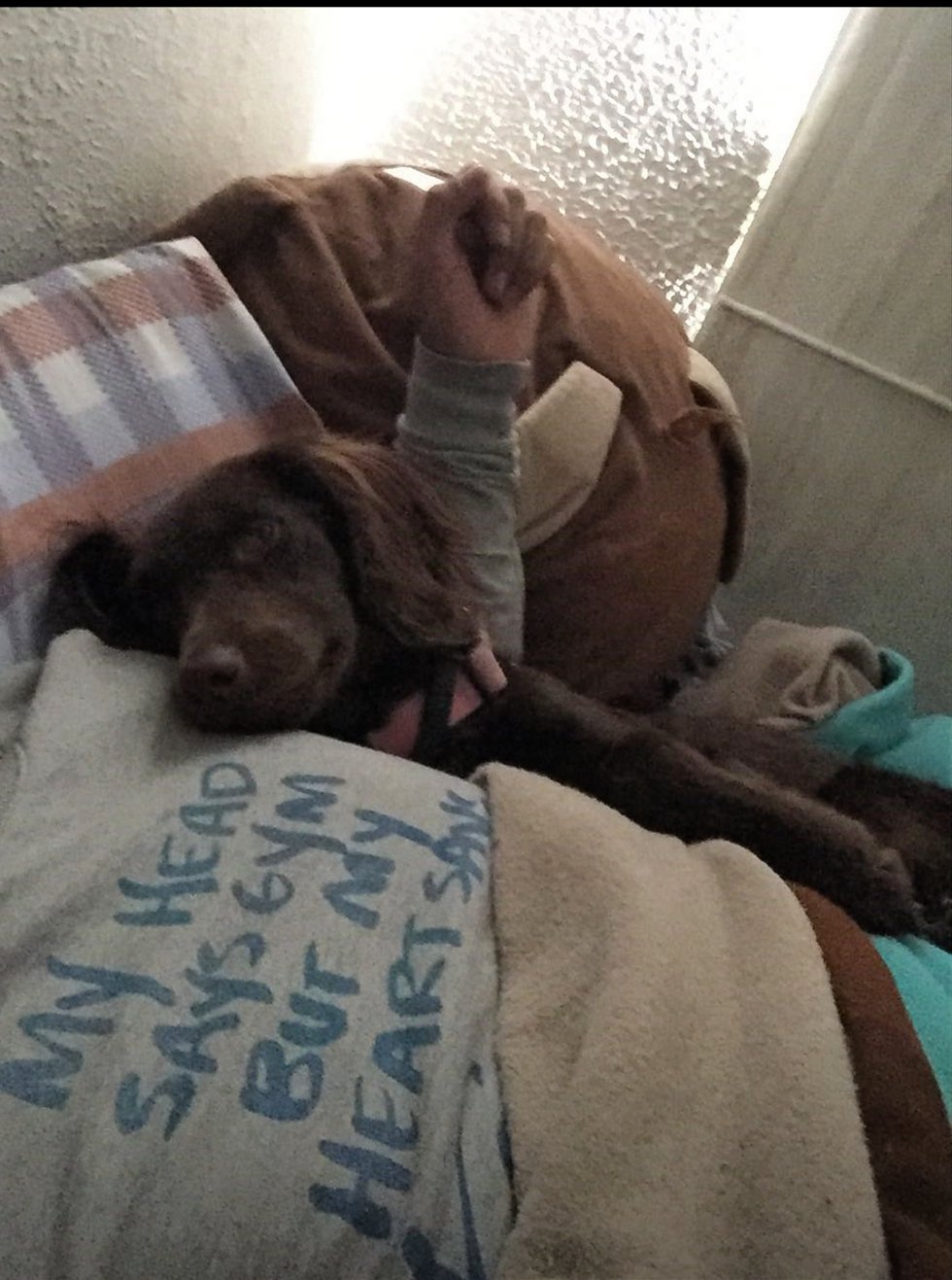 Nicolás Moreno nos envío está petición: "Necesito un colchon porque mi papá está quedando sin cama" Nicolás Moreno nos envío está petición: "Necesito un colchon porque mi papá está quedando sin cama"