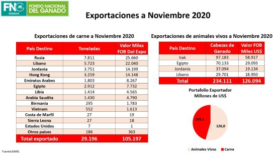 Comercio ganadero: Colombia incrementó sus exportaciones de carne y semovientes en 2020 Comercio ganadero: Colombia incrementó sus exportaciones de carne y semovientes en 2020