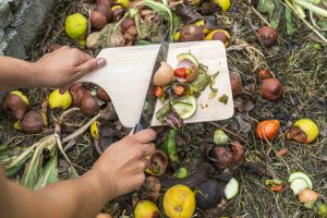 Compostaje. Reutilizar los desperdicios de alimentos para abono.