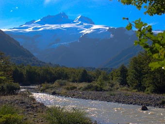 Los Andes colombianos, el sitio donde más rápido se está destruyendo la biodiversidad