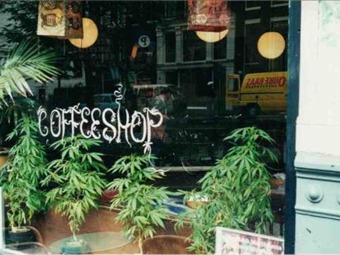 Los Coffee Shops Holandeses Se Rebelan Y Venden Marihuana A Turistas Entretenimiento Caracol Radio