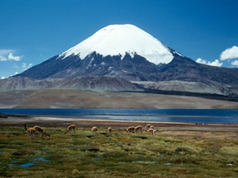 No hay quién cuide el Parque Nacional de los Nevados | Ecología ...