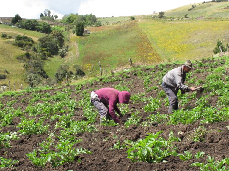 Campesinado En Colombia El 447 De Los Campesinos Colombianos Está En La Pobreza Dane 