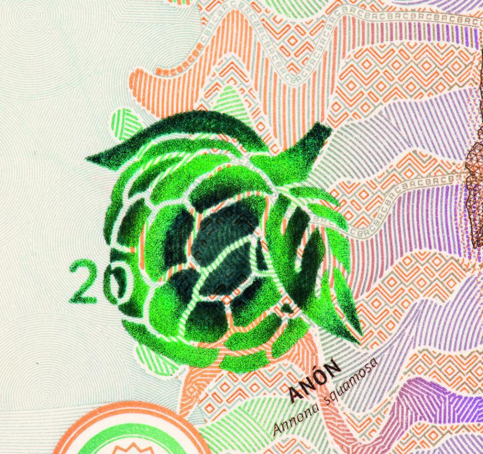 El fruto de anón ubicado al lado izquierdo es uno de los elementos de seguridad del billete, pues al moverlo cambia de color. El fruto de anón ubicado al lado izquierdo es uno de los elementos de seguridad del billete, pues al moverlo cambia de color.