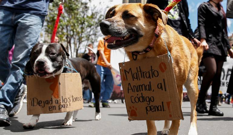 Resultado de imagen para para que sirven las leyes de proteccion animal