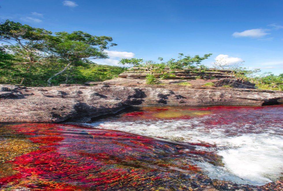 Fotografía de Caño Cristales, tomada en septiembre de 2012, el río de los cinco colores, una de las maravillas naturales de Colombia, inigualable. Fotografía de Caño Cristales, tomada en septiembre de 2012, el río de los cinco colores, una de las maravillas naturales de Colombia, inigualable.