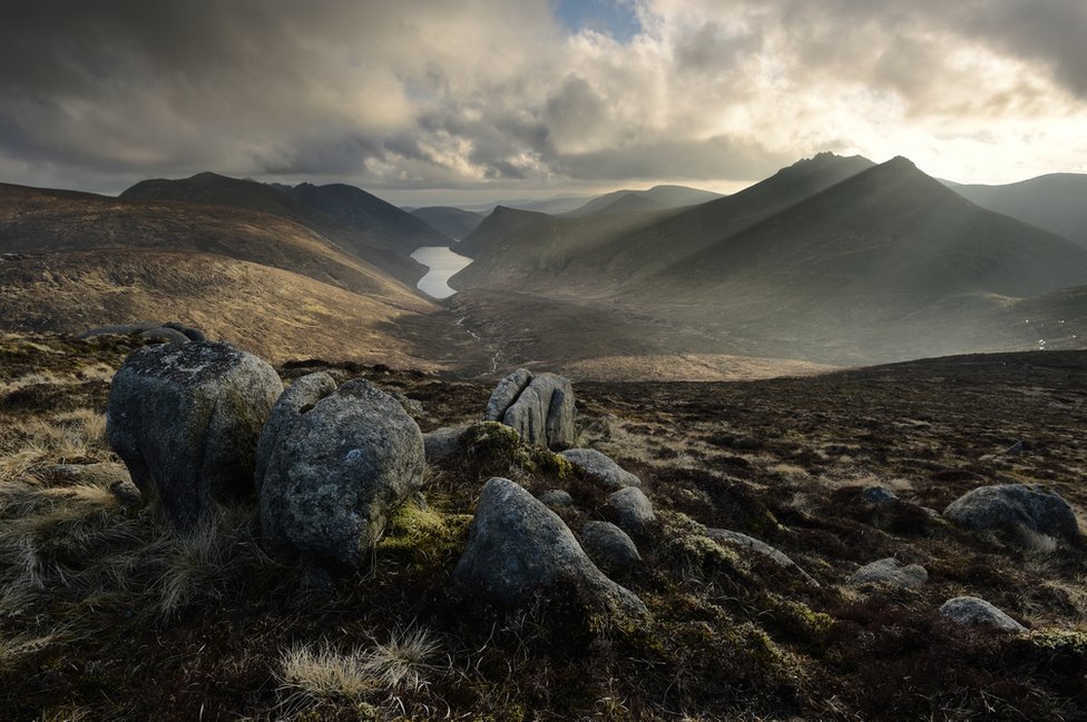 Brian McCready, Irlanda del Norte: "Esta fue tomada en la cumbre del Slieve Corragh (un pico de 640 metros de altura) justo cuando el sol salía entre las nubes y empezó a iluminar las pendientes de la Reserva Ben Crom (County Down)". Brian McCready, Irlanda del Norte: "Esta fue tomada en la cumbre del Slieve Corragh (un pico de 640 metros de altura) justo cuando el sol salía entre las nubes y empezó a iluminar las pendientes de la Reserva Ben Crom (County Down)".