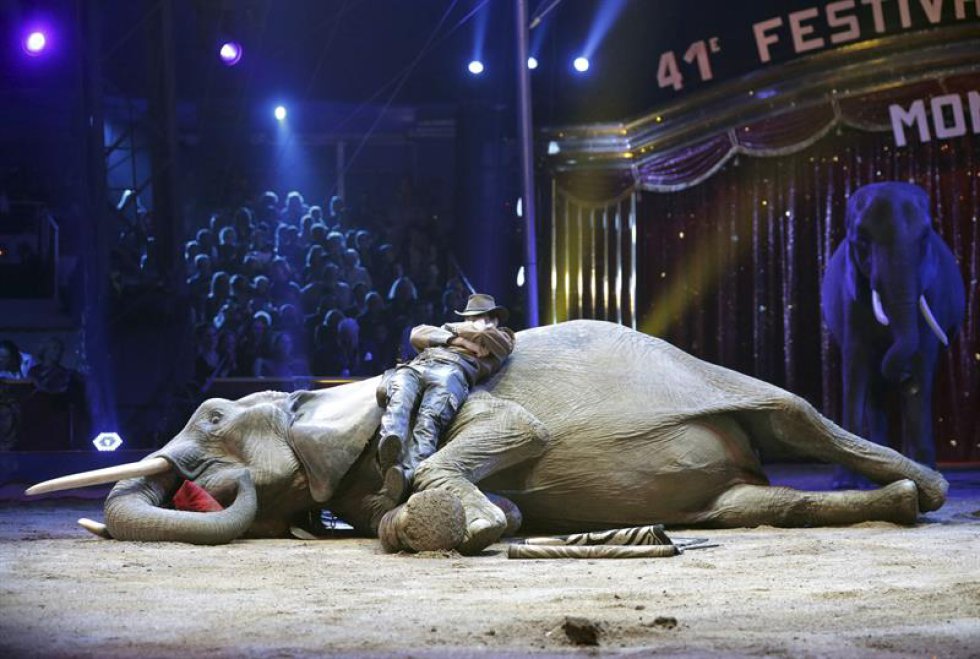 El artista Erwin Frankello, agandor del Premio payaso de plata, actúa durante la ceremonia de la edición 41 del Festival Internacional de Circo de Monte-Carlo. El artista Erwin Frankello, agandor del Premio payaso de plata, actúa durante la ceremonia de la edición 41 del Festival Internacional de Circo de Monte-Carlo.