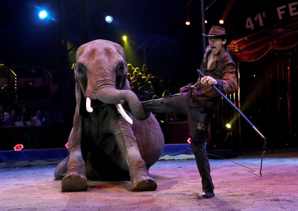 El artista Erwin Frankello, ganador del Premio payaso de plata, actúa durante la ceremonia de la edición 41 del Festival Internacional de Circo de Monte-Carlo. El artista Erwin Frankello, ganador del Premio payaso de plata, actúa durante la ceremonia de la edición 41 del Festival Internacional de Circo de Monte-Carlo.