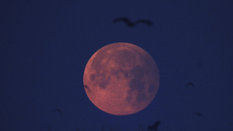 La Luna se vio rosada en la ciudad de Lahore, en Pakistán, durante el primer eclipse de 2017. La Luna se vio rosada en la ciudad de Lahore, en Pakistán, durante el primer eclipse de 2017.