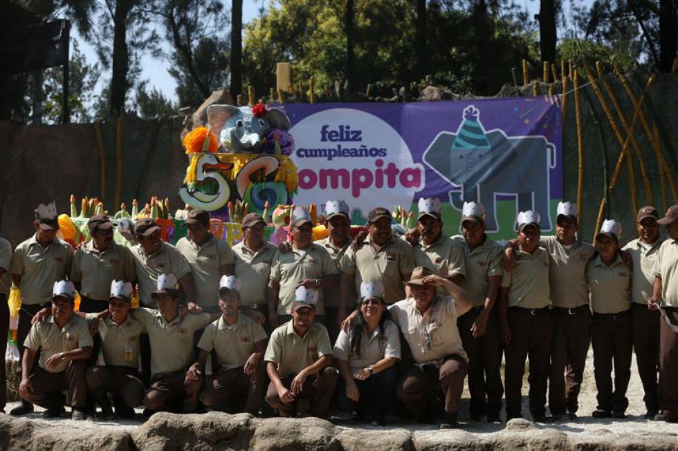 Tras 48 años juntos, su cuidador cuenta que, a veces, con tan solo mirarse, sabe "lo que le pasa": "Recuerda que crecimos juntos. Llevamos toda una vida", insiste mientras mira a la elefanta, que come con avidez su pastel y se tira tierra encima de su lomo para protegerse de los incesantes rayos de sol. Tras 48 años juntos, su cuidador cuenta que, a veces, con tan solo mirarse, sabe "lo que le pasa": "Recuerda que crecimos juntos. Llevamos toda una vida", insiste mientras mira a la elefanta, que come con avidez su pastel y se tira tierra encima de su lomo para protegerse de los incesantes rayos de sol.