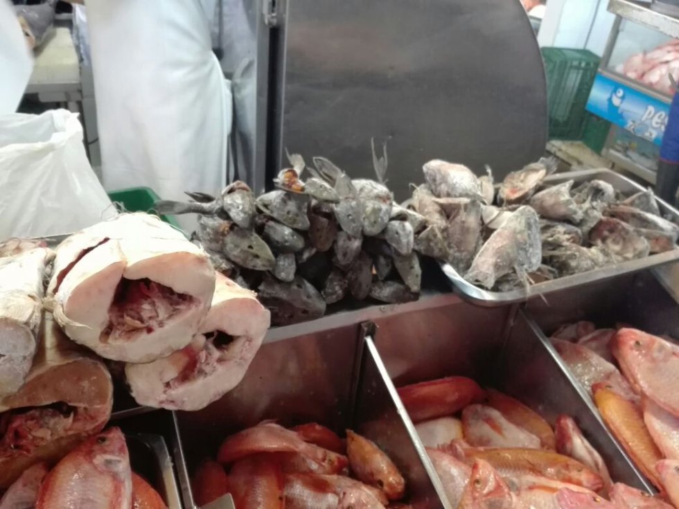 Cada vez los colombianos consumen más pescado. Inicialmente se consumía de 1.7 kilos por persona cada año y actualmente, se consumen más de 6 kilos. Cada vez los colombianos consumen más pescado. Inicialmente se consumía de 1.7 kilos por persona cada año y actualmente, se consumen más de 6 kilos.