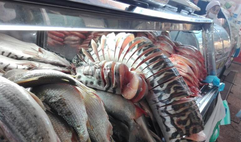 Pescado en Semana Santa: Colombia consumirá pescado asiático en Semana Santa | Economía | Caracol Radio
