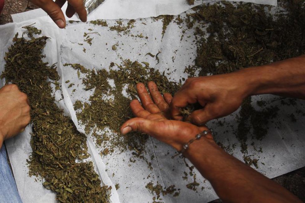 Activistas, en Medellín (Colombia), marcharon a favor del consumo del cannabis; para pedir que sea legal utilizarla tanto para fines medicinales, como recreativos. Activistas, en Medellín (Colombia), marcharon a favor del consumo del cannabis; para pedir que sea legal utilizarla tanto para fines medicinales, como recreativos.